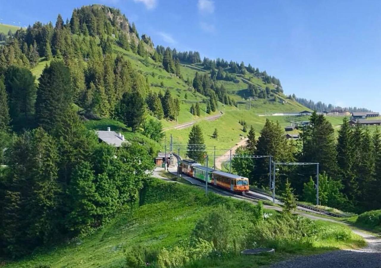 Maison De Montagne De Bretaye Acces Par Le Train Arret Bouquetin Villars-sur-Ollon Exteriör bild